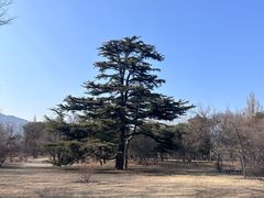 -国家植物园南园