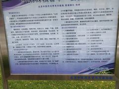 -北京中医药大学东方医院(方庄院区)