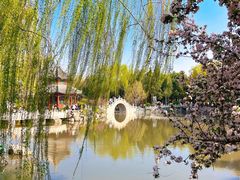 -莲池书院博物馆
