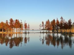 -贡湖湾湿地公园