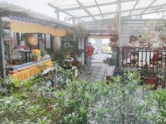 -尼玛藏家风味园(阿山食城店)