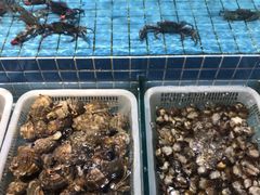 -北戴河转鱼·炒螃蟹酱餐厅