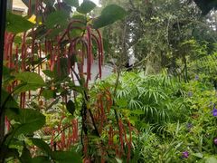 -Le Chalet Dalat