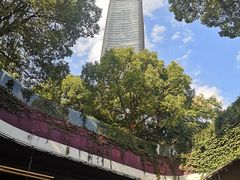-上海港国际客运中心