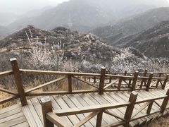 -大岭沟猕猴桃谷风景区