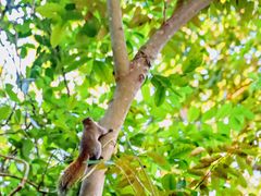 -天门沟九州驿站树上汤泉