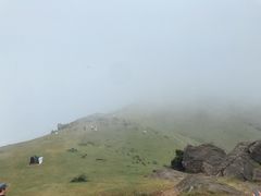 -大姆山草场