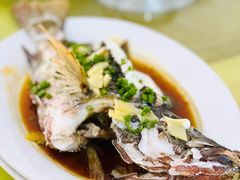 清蒸红友鱼-秋姐美食店(旅游大道店)