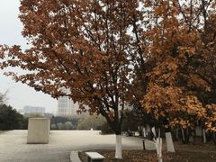 -长春世界雕塑园冰雪艺术天地