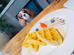 -百好乐宠物友好餐厅(朝外大街店)