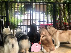 -TrueLove @ Neverland (Husky Cafe)