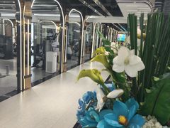 -悦莱美游泳健身(珠江新城花城汇店)