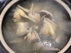 -皇鸽餐厅(五桂山分店)