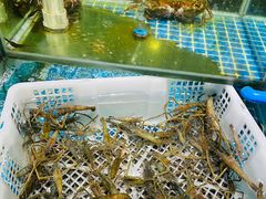 -顺德渔村·岭南一号