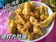 -大湾区中央湿地公园-十九涌