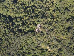 -火炉山森林公园