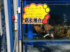 -蚝专家(北滘店)