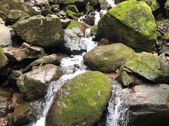 -藏龙百瀑风景区