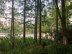 -重庆彩云湖湿地公园