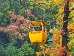 -惠山国家森林公园