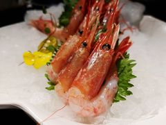 带头北极甜虾刺身-将太无二·北美传奇寿司(瑞士公寓店)