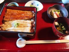 -料亭菊水楼