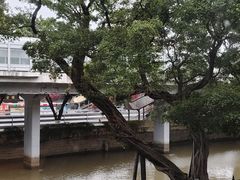 -广东胜利宾馆西关粤中餐厅