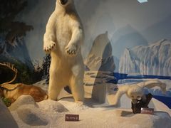 -陕西自然博物馆