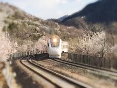 -居庸关长城