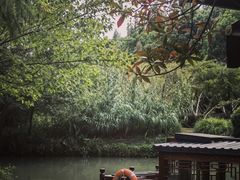 -同里国家湿地公园