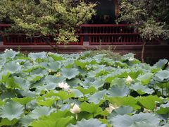 -成都武侯祠博物馆