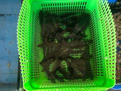 -七鲜渔港美食餐厅(巽寮湾海景店)