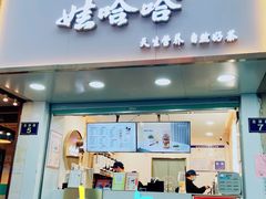 门面-娃哈哈·奶茶(武林店)