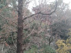 -汇龙潭