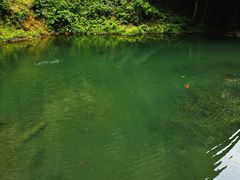 -夏霖九天银瀑风景区