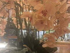 -八府香鸭·啫啫煲(华山路店)