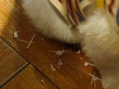 -老傅家湘潭水煮活鱼店(众一国际店)