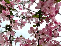 -桤木河湿地公园