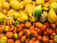 -三圣花乡旅游区