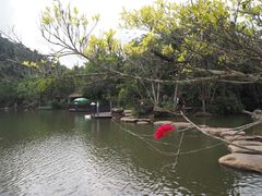 -呀诺达热带雨林