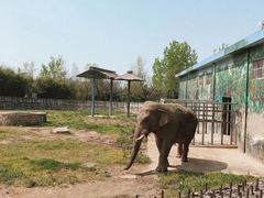 -西安秦岭野生动物园