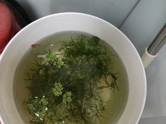 -宠福鑫动物医院(城北分院)