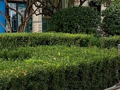 -壹条龙饭庄台基厂店