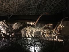 -世界恐龙谷景区