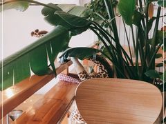 -长颈鹿咖啡(大学路店)