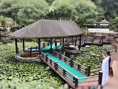 -明月山天沐温泉度假村