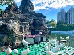 -团结湖公园