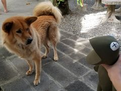 -帝京日语(春熙路旗舰校区)