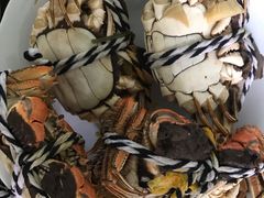 -乡乐园蟹庄·阳澄湖农家乐