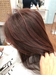 -THE LOG SALON 记录